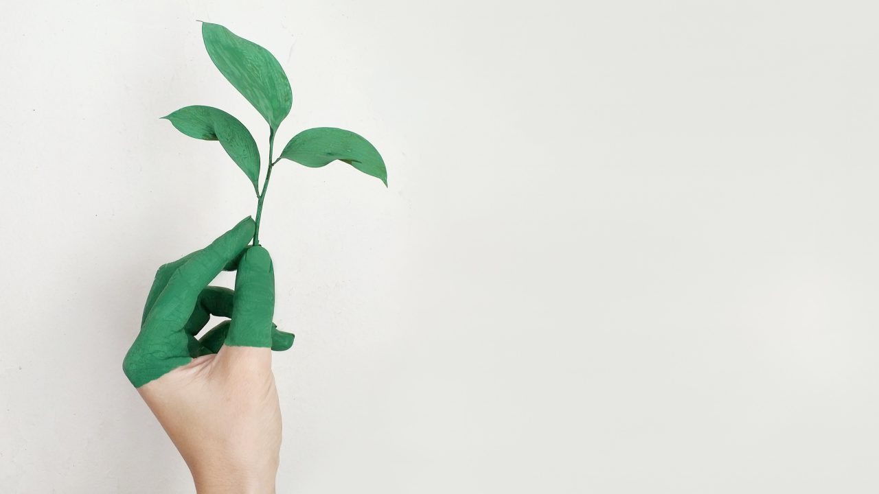 ESG, Greenwashing, ESG fund, green fund, climate change, iklim değişikliği, yeşil bono, fraud, dolandırıcılık, çevre